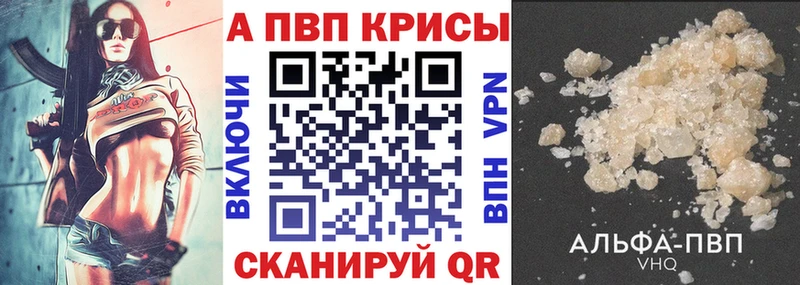 А ПВП СК КРИС  Михайловск 