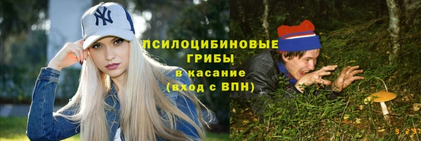 шишки Алексин